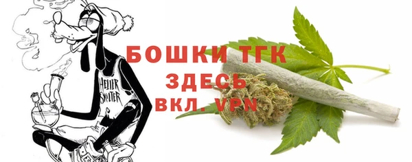 прущие грибы Алексин