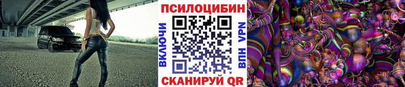 Псилоцибиновые грибы Psilocybe  Яхрома 